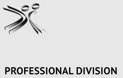 Professional Division